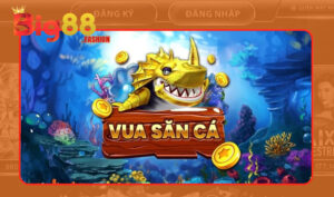 Tổng quan sơ bộ về game Vua Săn Cá