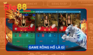 Tìm hiểu cơ bản về game bài Rồng Hổ thế nào?