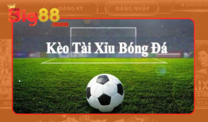 Đôi nét cơ bản về kèo Tài Xỉu bóng đá