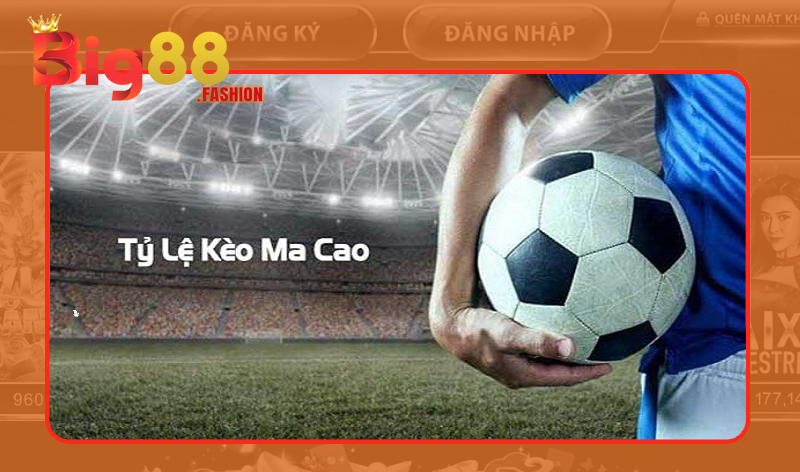 Áp dụng chiến thuật soi kèo Macao thắng lớn